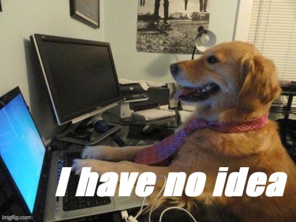 Computer dog I have no idea | image tagged in computer dog i have no idea | made w/ Imgflip meme maker