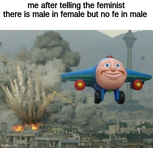 Raging feminist | me after telling the feminist there is male in female but no fe in male | image tagged in jay jay the plane,funny,fun,feminist | made w/ Imgflip meme maker
