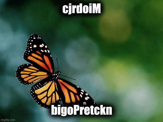Solve Me | cjrdoiM; bigoPretckn | image tagged in butterfly,butterfly puzzle,puzzle,solve puzzle,solve | made w/ Imgflip meme maker
