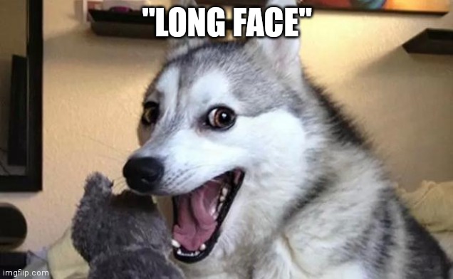 Pun dog - husky | "LONG FACE" | image tagged in pun dog - husky | made w/ Imgflip meme maker