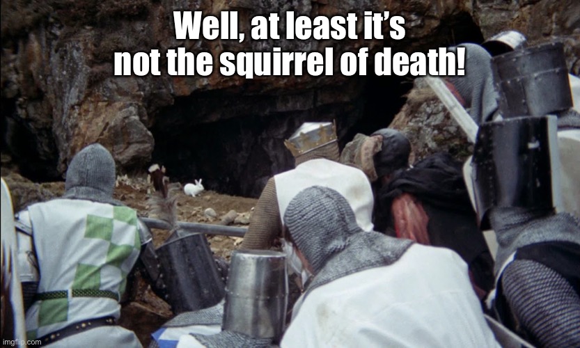 monty python rabbit | Well, at least it’s not the squirrel of death! | image tagged in monty python rabbit | made w/ Imgflip meme maker