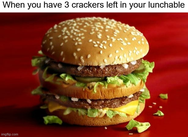 please give me an EVEN NUMBER | When you have 3 crackers left in your lunchable | image tagged in big mac,funny,memes | made w/ Imgflip meme maker