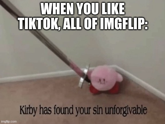 Its True,So Dont Do It | WHEN YOU LIKE TIKTOK, ALL OF IMGFLIP: | image tagged in kirby has found your sin unforgivable | made w/ Imgflip meme maker