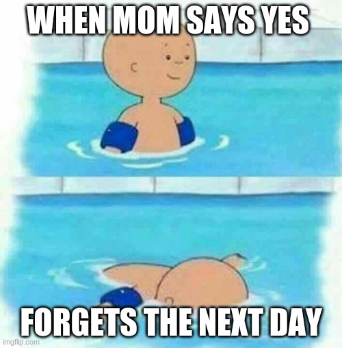 Caillou in the Pool | WHEN MOM SAYS YES; FORGETS THE NEXT DAY | image tagged in caillou in the pool | made w/ Imgflip meme maker