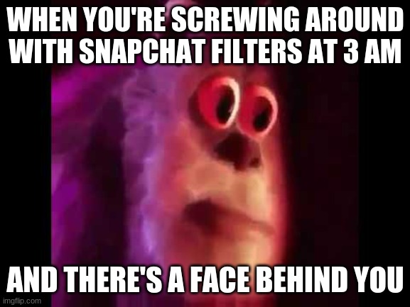 It's happened to me before... ;-; | WHEN YOU'RE SCREWING AROUND WITH SNAPCHAT FILTERS AT 3 AM; AND THERE'S A FACE BEHIND YOU | image tagged in sully groan,3 am memes,memes,memes 2021,funny memes | made w/ Imgflip meme maker