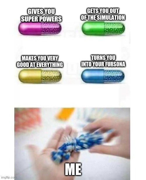 blank pills meme | GETS YOU OUT OF THE SIMULATION; GIVES YOU SUPER POWERS; TURNS YOU INTO YOUR FURSONA; MAKES YOU VERY GOOD AT EVERYTHING; ME | image tagged in blank pills meme | made w/ Imgflip meme maker