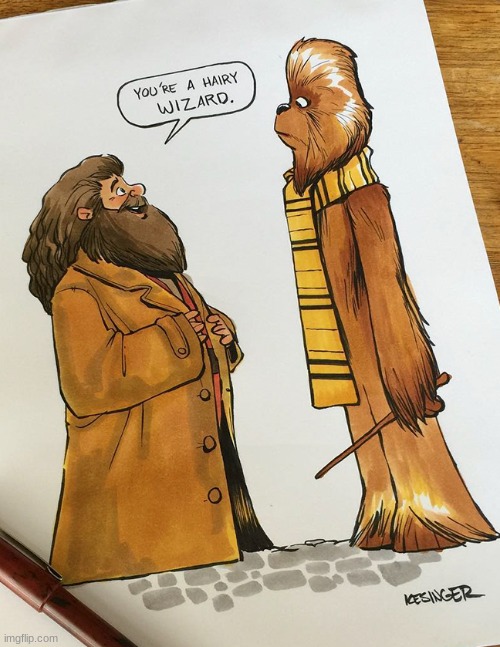 another drawing (not mine) | image tagged in star wars,harry potter | made w/ Imgflip meme maker