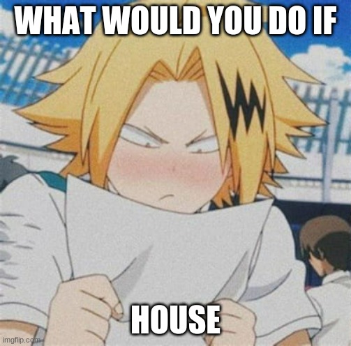 house | WHAT WOULD YOU DO IF; HOUSE | image tagged in house | made w/ Imgflip meme maker