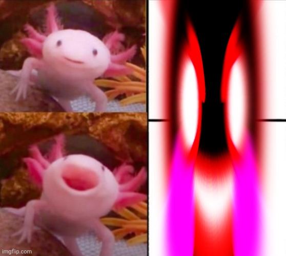 axolotl drake | image tagged in axolotl drake | made w/ Imgflip meme maker