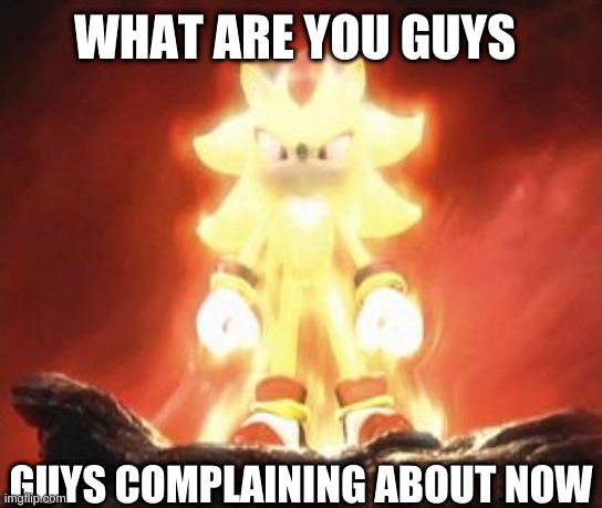 tell me | WHAT ARE YOU GUYS; GUYS COMPLAINING ABOUT NOW | image tagged in super shadow | made w/ Imgflip meme maker