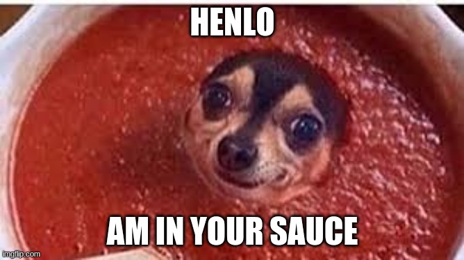 He has come to steal the meatballs | HENLO; AM IN YOUR SAUCE | image tagged in sauce it up pupper,doggo | made w/ Imgflip meme maker
