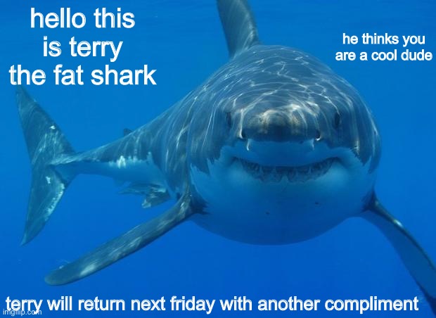 yes he is telling the truth | he thinks you are a cool dude; hello this is terry the fat shark; terry will return next friday with another compliment | image tagged in straight white shark,shark,funny,memes,compliment | made w/ Imgflip meme maker
