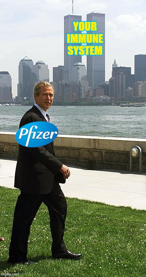 YOUR
IMMUNE
SYSTEM | image tagged in george bush,twin towers,pfizer,covid,immunity,vaccine | made w/ Imgflip meme maker