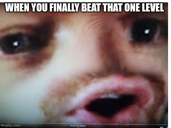 WHEN YOU FINALLY BEAT THAT ONE LEVEL | image tagged in funny,memes,video games | made w/ Imgflip meme maker