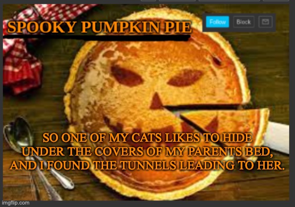 spooky pumpkin pie | SO ONE OF MY CATS LIKES TO HIDE UNDER THE COVERS OF MY PARENTS BED, AND I FOUND THE TUNNELS LEADING TO HER. | image tagged in spooky pumpkin pie | made w/ Imgflip meme maker