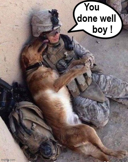 After Action ! |  You    
done well
     boy ! | image tagged in doggo | made w/ Imgflip meme maker