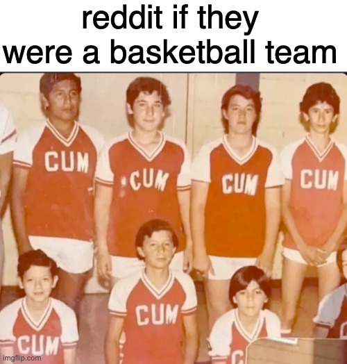 reddit if they were a basketball team | image tagged in blank white template | made w/ Imgflip meme maker