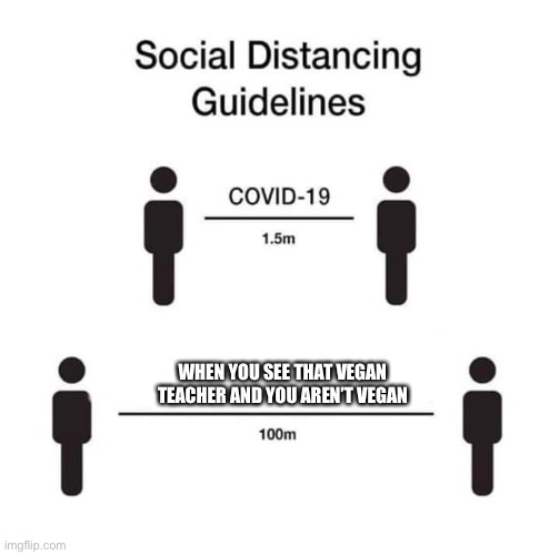 social distancing guidelines | WHEN YOU SEE THAT VEGAN TEACHER AND YOU AREN’T VEGAN | image tagged in social distancing guidelines | made w/ Imgflip meme maker