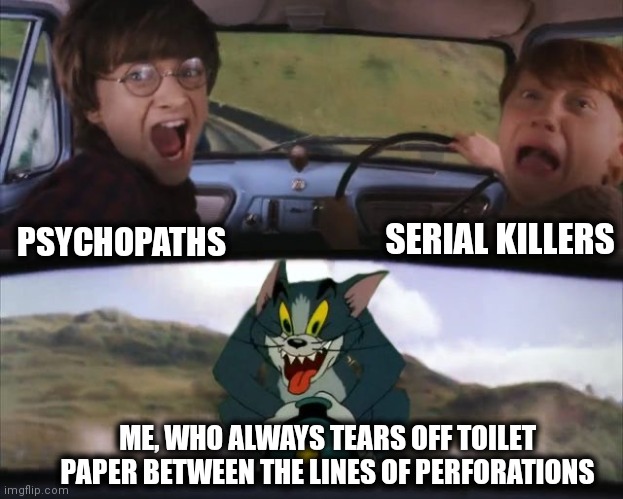 Tom chasing Harry and Ron Weasly | SERIAL KILLERS; PSYCHOPATHS; ME, WHO ALWAYS TEARS OFF TOILET PAPER BETWEEN THE LINES OF PERFORATIONS | image tagged in tom chasing harry and ron weasly,memes,toilet paper,perforations | made w/ Imgflip meme maker