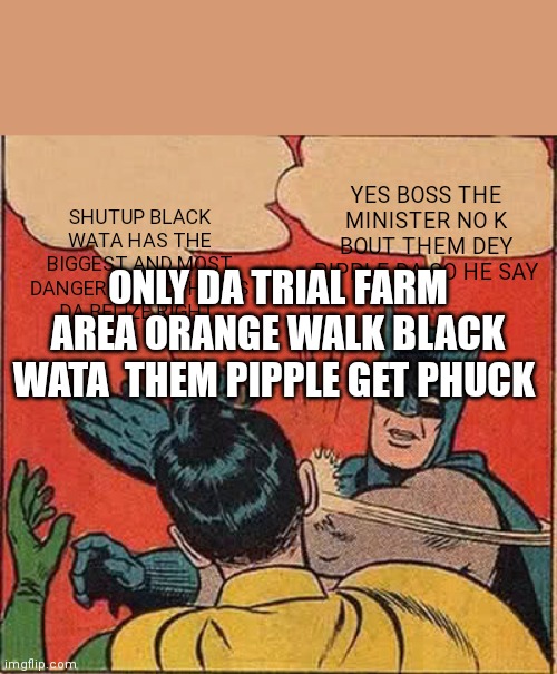 Batman Slapping Robin Meme | SHUTUP BLACK WATA HAS THE BIGGEST AND MOST DANGEROUS POTHOLES DA BELIZE RIGHT; YES BOSS THE MINISTER NO K BOUT THEM DEY PIPPLE DA SO HE SAY; ONLY DA TRIAL FARM AREA ORANGE WALK BLACK WATA  THEM PIPPLE GET PHUCK | image tagged in memes,batman slapping robin | made w/ Imgflip meme maker