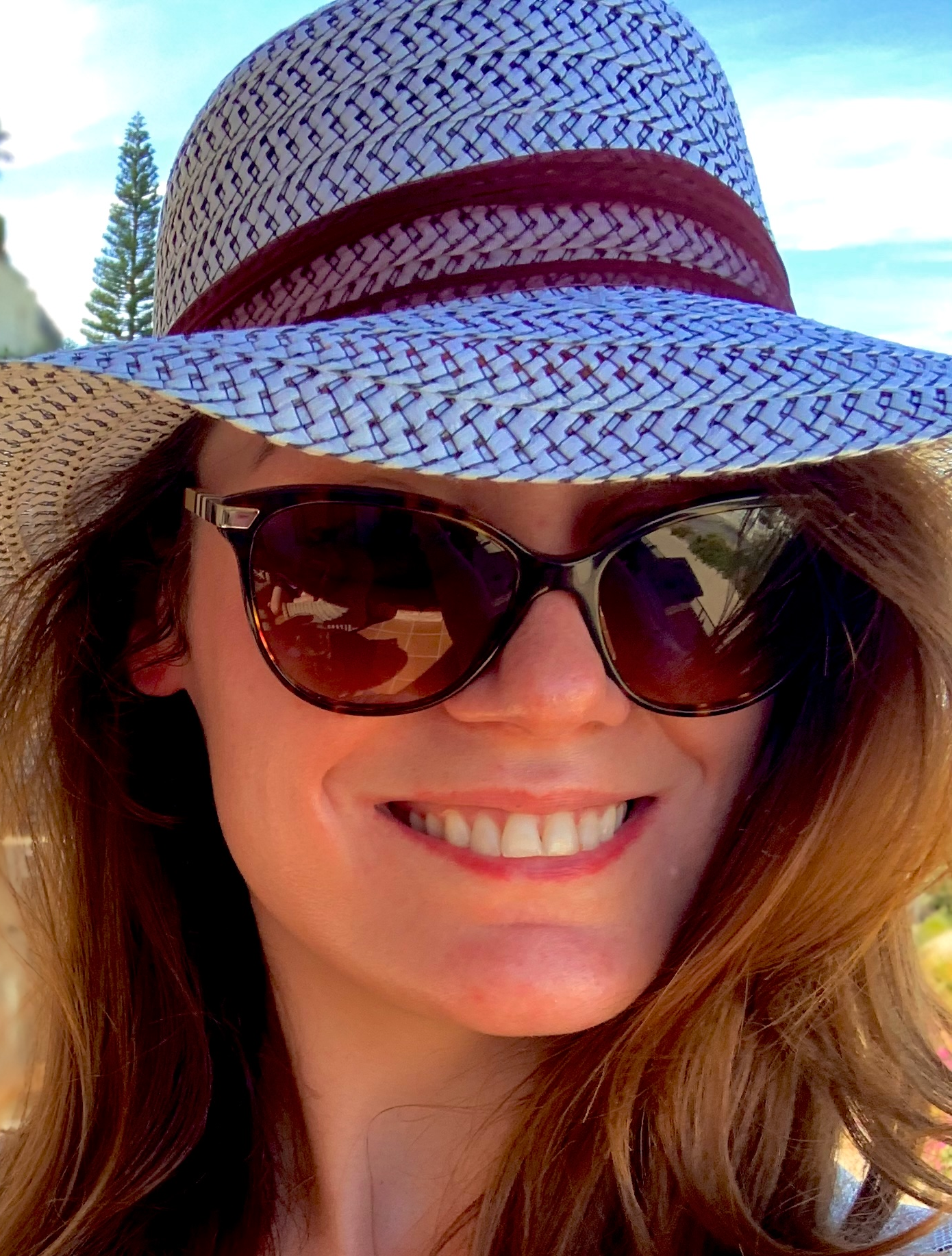 Pidgey Blank Meme Template