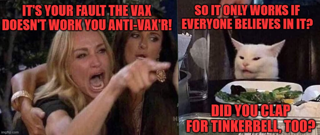 Faith makes it work, really! | SO IT ONLY WORKS IF EVERYONE BELIEVES IN IT? IT'S YOUR FAULT THE VAX DOESN'T WORK YOU ANTI-VAX'R! DID YOU CLAP FOR TINKERBELL, TOO? | image tagged in woman yelling at cat | made w/ Imgflip meme maker