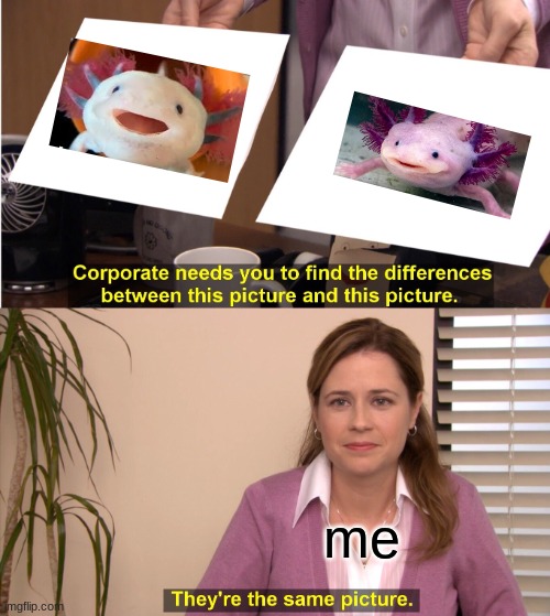 They're The Same Picture | me | image tagged in memes,they're the same picture | made w/ Imgflip meme maker