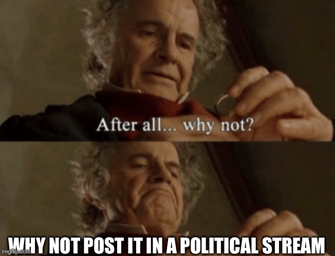How it started | WHY NOT POST IT IN A POLITICAL STREAM | image tagged in after all why not | made w/ Imgflip meme maker