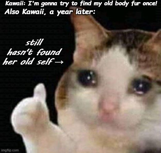 yes, Kawaii was something befur the Kawaii you all know | Kawaii: I'm gonna try to find my old body fur once! Also Kawaii, a year later:; still hasn't found her old self → | image tagged in sad thumbs up cat | made w/ Imgflip meme maker