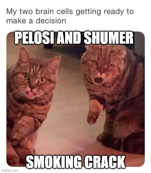 Pelosi and Shumer | PELOSI AND SHUMER; SMOKING CRACK | image tagged in pelosi and shumer | made w/ Imgflip meme maker
