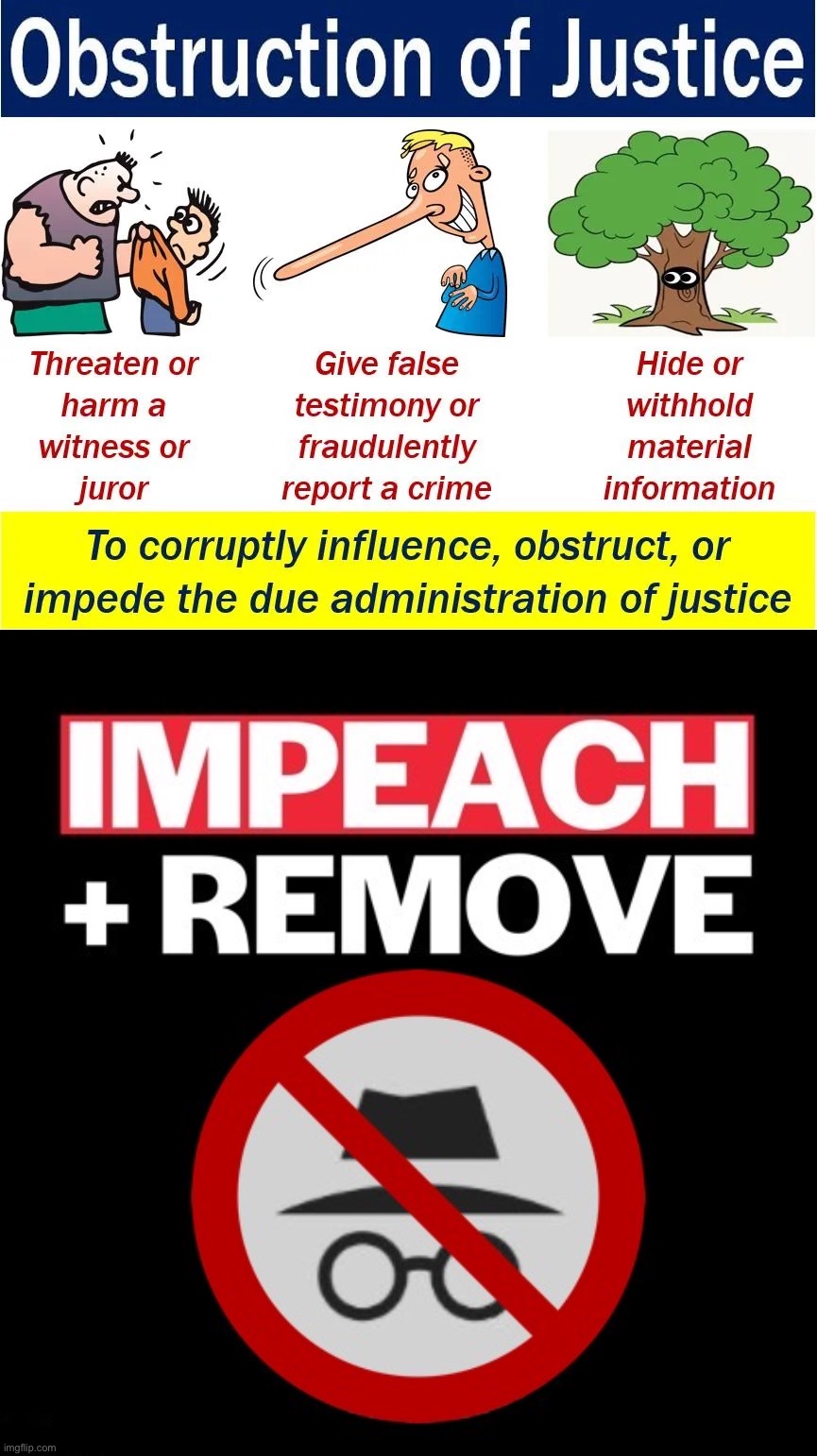 Random images I have in my downloads, pt. 4 (not sure what this one has to do with anything) | image tagged in obstruction of justice,impeach ig,impeach,the,incognito,guy | made w/ Imgflip meme maker