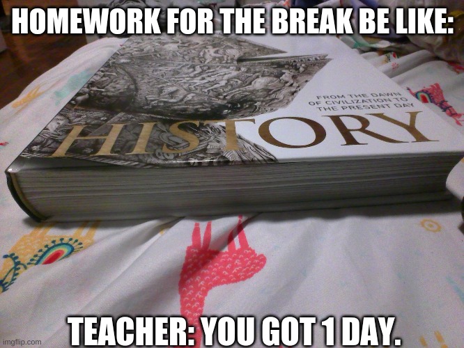 Homework be like: | HOMEWORK FOR THE BREAK BE LIKE:; TEACHER: YOU GOT 1 DAY. | image tagged in homework,school | made w/ Imgflip meme maker
