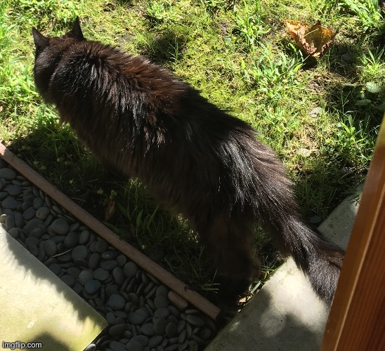 My mom needs to control her child | made w/ Imgflip meme maker