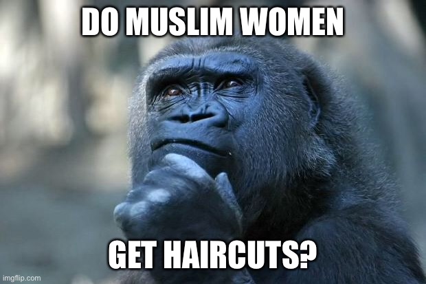 Deep Thoughts | DO MUSLIM WOMEN; GET HAIRCUTS? | image tagged in deep thoughts | made w/ Imgflip meme maker