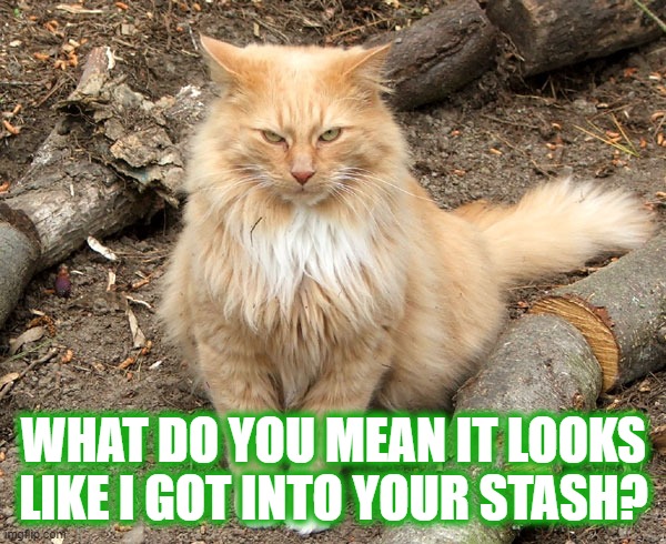 WHAT DO YOU MEAN IT LOOKS LIKE I GOT INTO YOUR STASH? | made w/ Imgflip meme maker