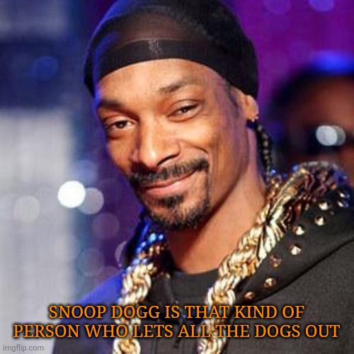 Snoop dogg | SNOOP DOGG IS THAT KIND OF PERSON WHO LETS ALL THE DOGS OUT | image tagged in snoop dogg | made w/ Imgflip meme maker