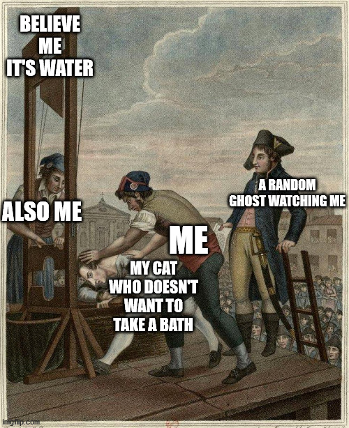 Guillotine | BELIEVE ME IT'S WATER; A RANDOM GHOST WATCHING ME; ALSO ME; ME; MY CAT WHO DOESN'T WANT TO TAKE A BATH | image tagged in guillotine | made w/ Imgflip meme maker