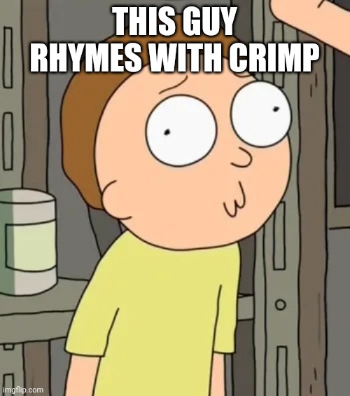 Morty Smith | THIS GUY RHYMES WITH CRIMP | image tagged in morty smith | made w/ Imgflip meme maker