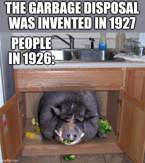 Image tagged in funny Imgflip