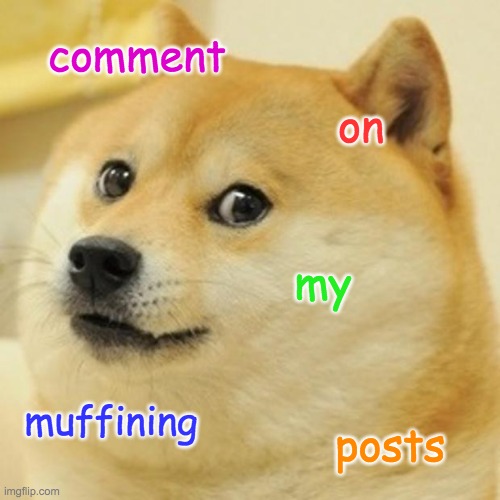 please! | comment; on; my; muffining; posts | image tagged in memes,doge | made w/ Imgflip meme maker