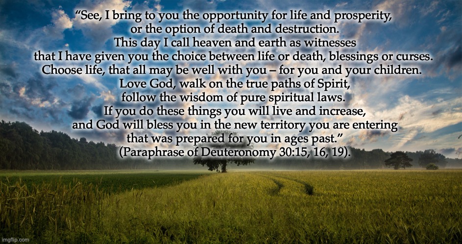 promises | “See, I bring to you the opportunity for life and prosperity, 
or the option of death and destruction.
This day I call heaven and earth as witnesses
 that I have given you the choice between life or death, blessings or curses.  
Choose life, that all may be well with you – for you and your children.  
Love God, walk on the true paths of Spirit,
 follow the wisdom of pure spiritual laws.  
If you do these things you will live and increase,
 and God will bless you in the new territory you are entering 
that was prepared for you in ages past.”
(Paraphrase of Deuteronomy 30:15, 16, 19). | image tagged in bible verse | made w/ Imgflip meme maker