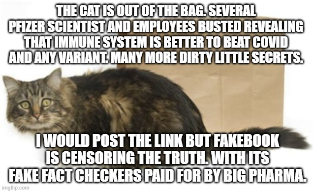 Cat is out of the bag | THE CAT IS OUT OF THE BAG. SEVERAL PFIZER SCIENTIST AND EMPLOYEES BUSTED REVEALING THAT IMMUNE SYSTEM IS BETTER TO BEAT COVID AND ANY VARIANT. MANY MORE DIRTY LITTLE SECRETS. I WOULD POST THE LINK BUT FAKEBOOK IS CENSORING THE TRUTH. WITH ITS FAKE FACT CHECKERS PAID FOR BY BIG PHARMA. | image tagged in pfizer,whistle blower | made w/ Imgflip meme maker