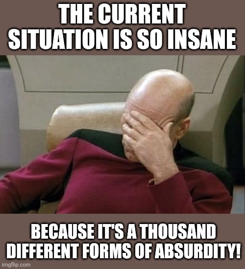 Captain Picard Facepalm Meme | THE CURRENT SITUATION IS SO INSANE BECAUSE IT'S A THOUSAND DIFFERENT FORMS OF ABSURDITY! | image tagged in memes,captain picard facepalm | made w/ Imgflip meme maker