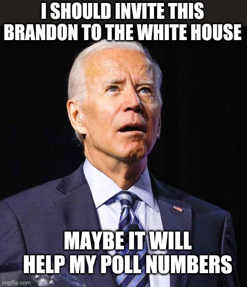Joe Biden | I SHOULD INVITE THIS BRANDON TO THE WHITE HOUSE; MAYBE IT WILL HELP MY POLL NUMBERS | image tagged in joe biden | made w/ Imgflip meme maker