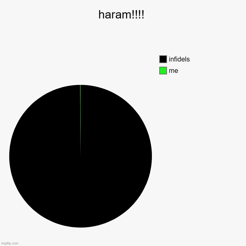 haram!!!! | me, infidels | image tagged in charts,pie charts | made w/ Imgflip chart maker