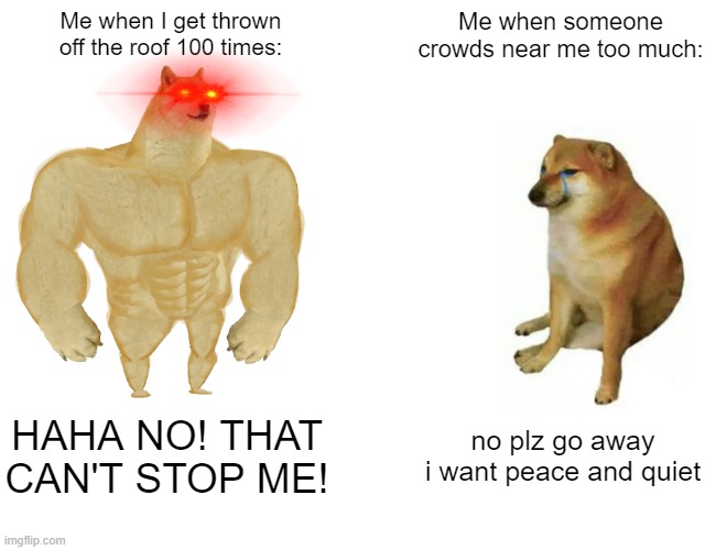 It's true about me | Me when I get thrown off the roof 100 times:; Me when someone crowds near me too much:; HAHA NO! THAT CAN'T STOP ME! no plz go away i want peace and quiet | image tagged in memes,buff doge vs cheems | made w/ Imgflip meme maker