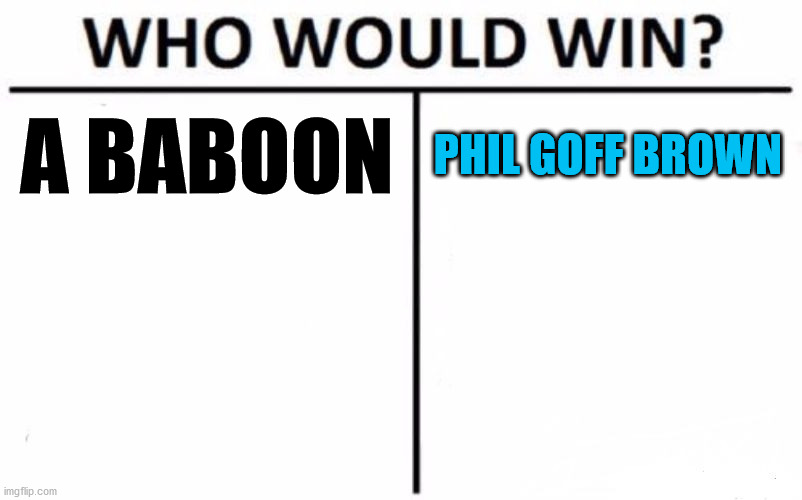 Mayor of Auckland Campaign | A BABOON; PHIL GOFF BROWN | image tagged in memes,who would win,baboon,idiot,new zealand,political meme | made w/ Imgflip meme maker