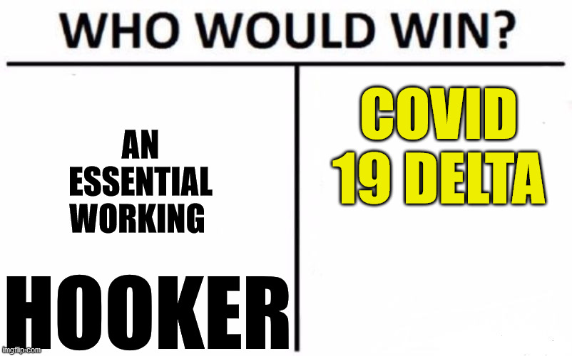 Labour Party | AN ESSENTIAL WORKING; COVID 19 DELTA; HOOKER | image tagged in memes,who would win,political meme,new zealand,prostitute,gangs | made w/ Imgflip meme maker