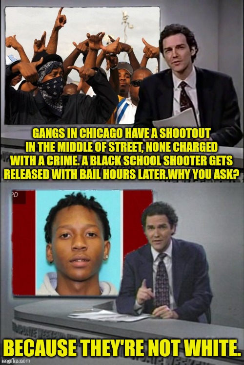 Colour Matters | GANGS IN CHICAGO HAVE A SHOOTOUT IN THE MIDDLE OF STREET, NONE CHARGED WITH A CRIME. A BLACK SCHOOL SHOOTER GETS RELEASED WITH BAIL HOURS LATER.WHY YOU ASK? BECAUSE THEY'RE NOT WHITE. | image tagged in gangs,chicago,school shooter,black people,weekend update with norm | made w/ Imgflip meme maker