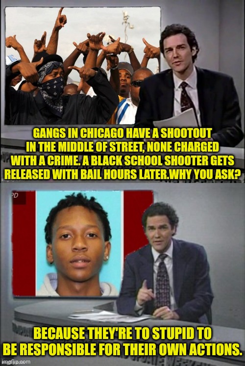 The Low Expectations | GANGS IN CHICAGO HAVE A SHOOTOUT IN THE MIDDLE OF STREET, NONE CHARGED WITH A CRIME. A BLACK SCHOOL SHOOTER GETS RELEASED WITH BAIL HOURS LATER.WHY YOU ASK? BECAUSE THEY'RE TO STUPID TO BE RESPONSIBLE FOR THEIR OWN ACTIONS. | image tagged in gangs,chicago,school shooter,black people,satire,weekend update with norm | made w/ Imgflip meme maker